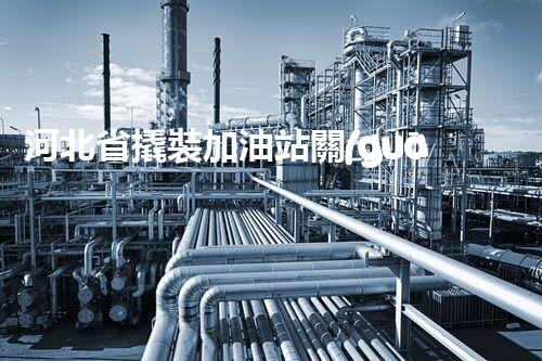 河北省撬裝加油站關(guān)鍵技術(shù)突破！化工廠拆除工程的新方法探索？